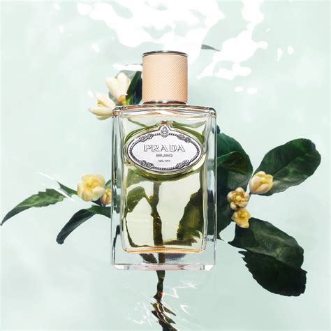 prada infusion de fleur d'oranger douglas|prada infusion cedar.